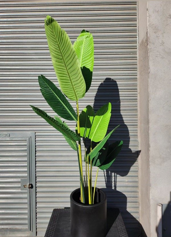 Producto - Planta artificial Ave Paraíso 1.80 mt