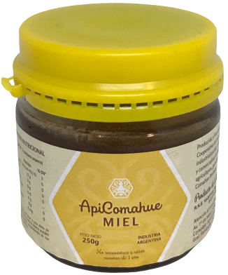 Producto - MIEL APICOMAHUE X 250G