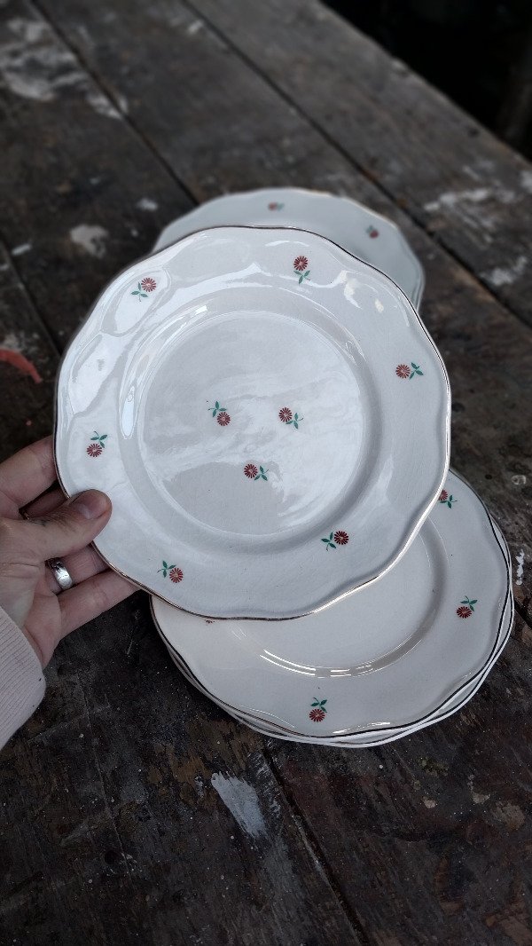 Producto - Platitos Margaritas