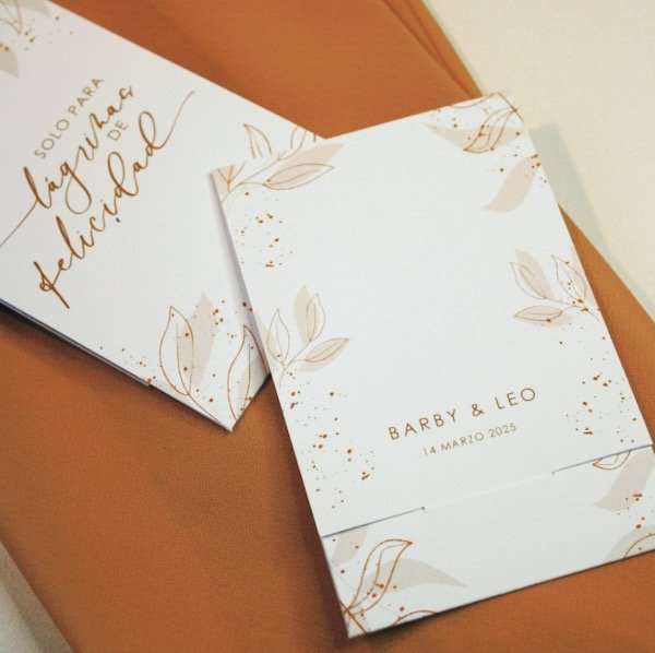 Producto - PORTA PAÑUELOS individuales (x10) - 1