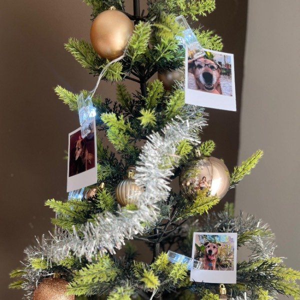 Producto - GUIRNALDA LUCES + FOTOS POLAROID