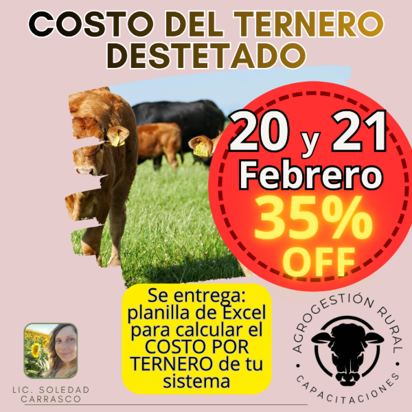 Producto - Taller Online: Costo del Ternero