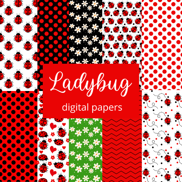 Producto - Colección Ladybug - Estampados infantiles - PA-K18