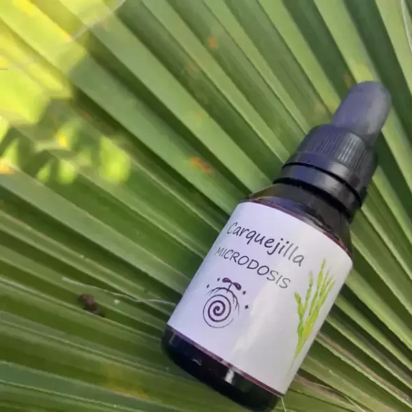 Producto - Microdosis de carqueja