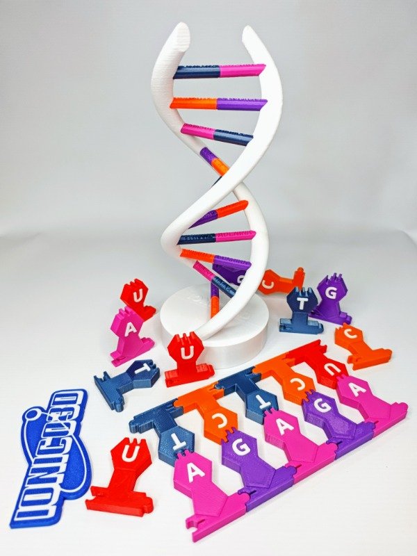 Producto - COMBO ADN HÉLICE + FICHAS ENCASTRABLES