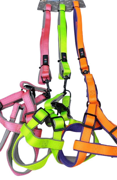 Producto - Conjunto pretal varias medidas