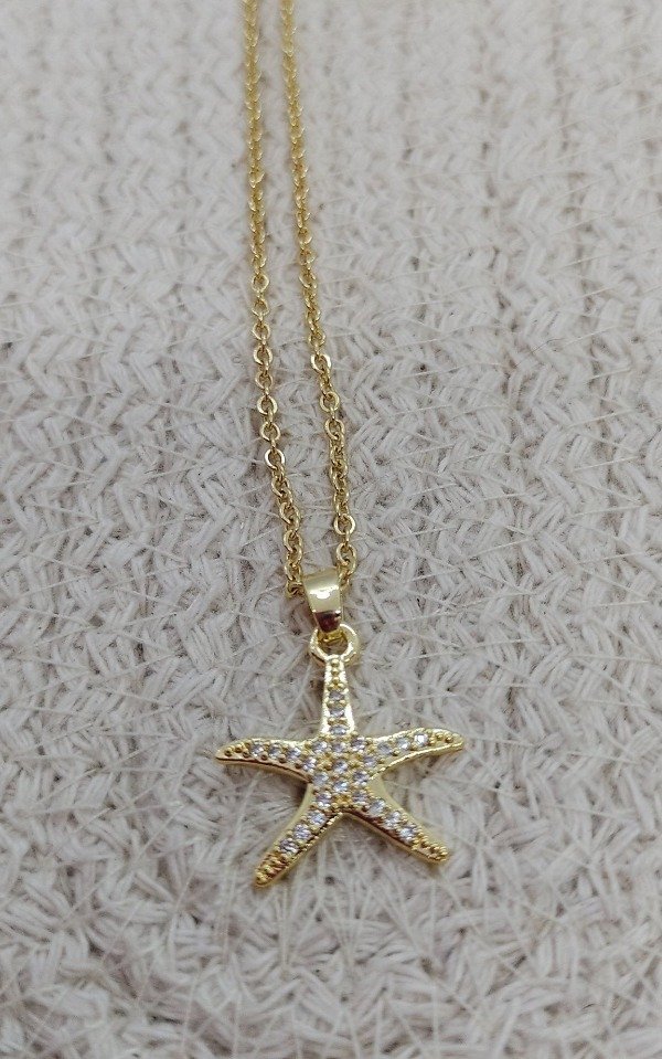 Producto - Estrella de mar dorada
