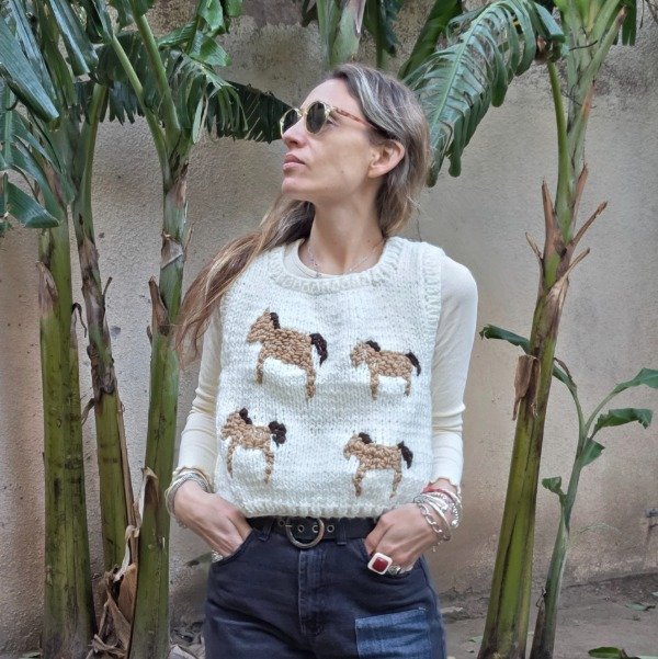 Producto - Chaleco de lana Sur