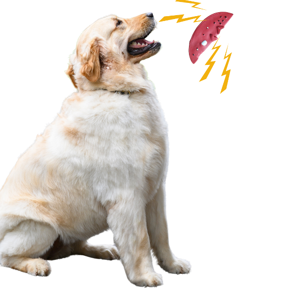 Producto - Juguete de Goma con Chifle para Perros - Sandía con Cara y Sonido. - 0