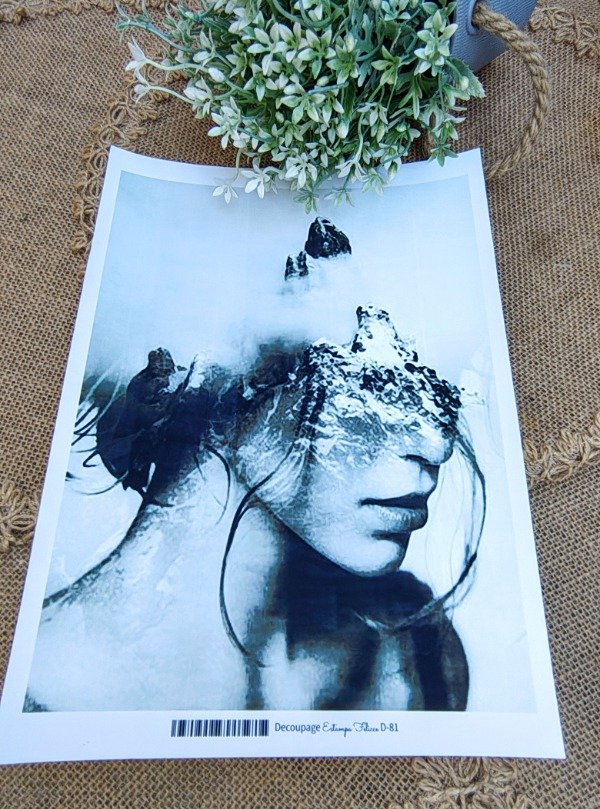 Producto - LAMINA PARA DECOUPAGE AUTOADHESIVA COD D81