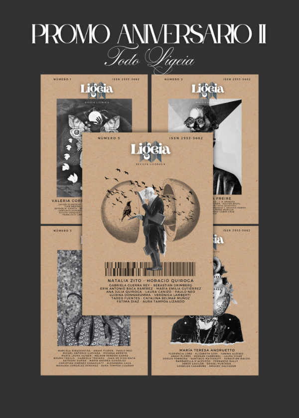 Producto - PROMO ANIVERSARIO II
