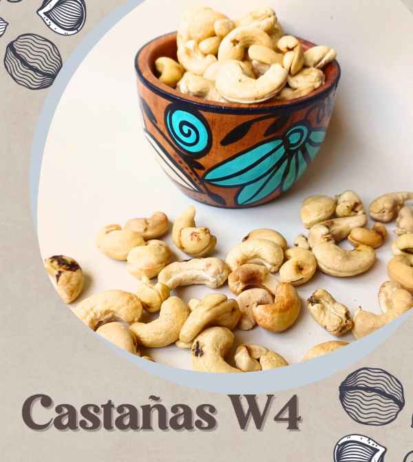 Producto - Castañas W4 Brasil