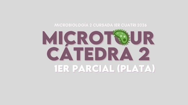 Producto - MICRO 2 CÁTEDRA 2 PLATA (1er parcial)