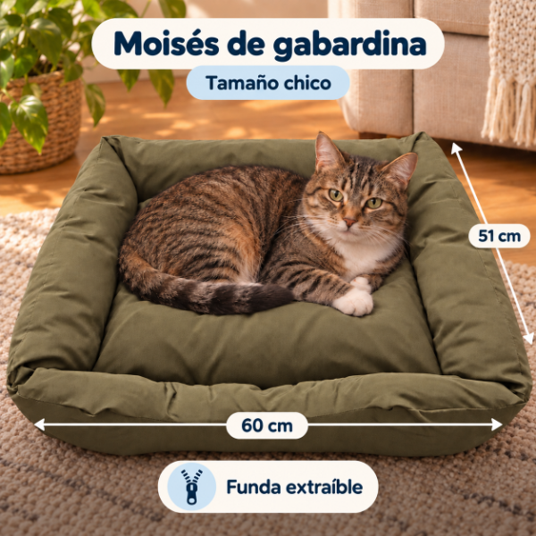 Producto - ART. D 1006 MOISES DE GABARDINA - 1
