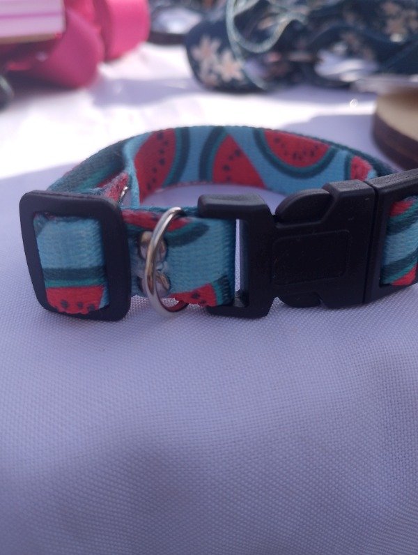 Producto - Collar michis - 5