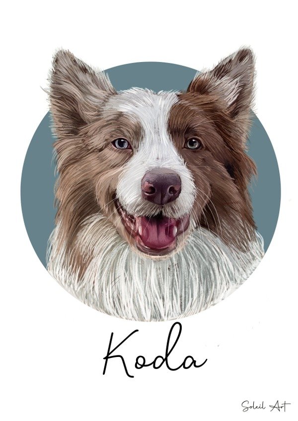 Producto - Ilustración digital