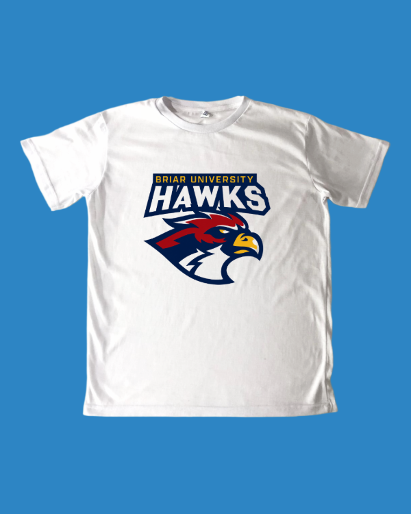 Remera Hawks - Off Campus