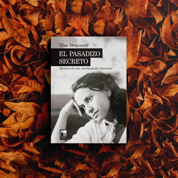 Producto - El pasadizo secreto - Elsa Drucaroff