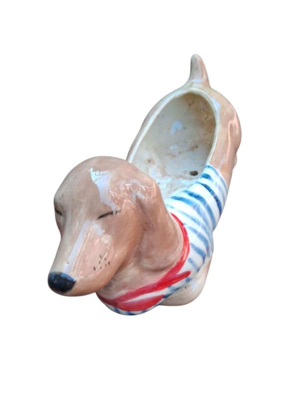 Producto - Perro Salchicha
