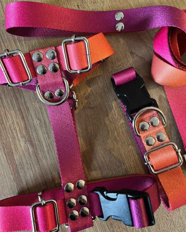 Producto - KIT AURORA