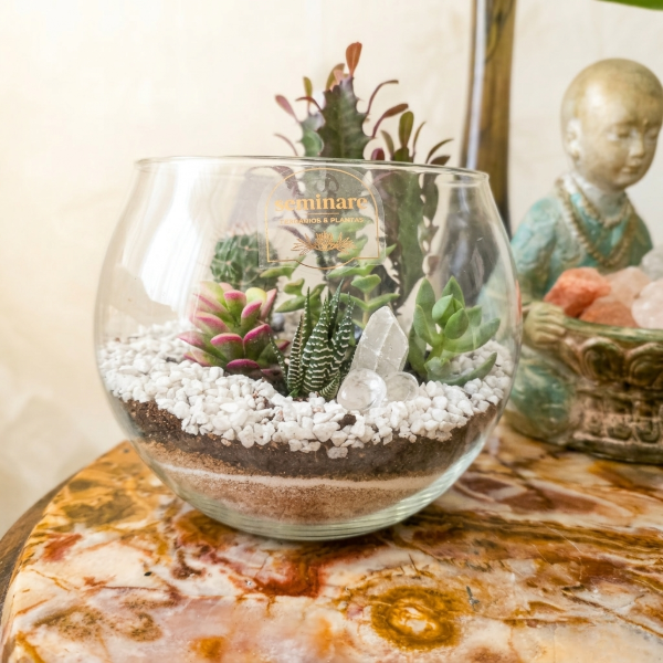 Producto - Terrario Cuarzo Cristal