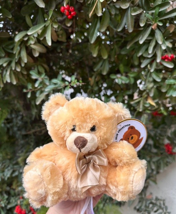 Producto - Oso De Peluche. 15cm