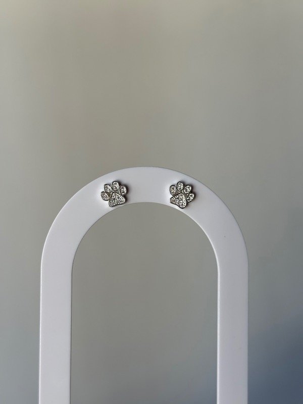 Producto - Aros huella de perro