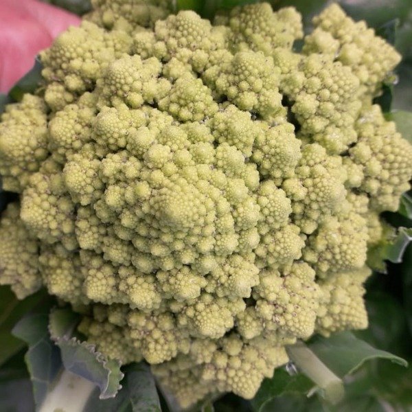 Producto - Brócoli Romanesco
