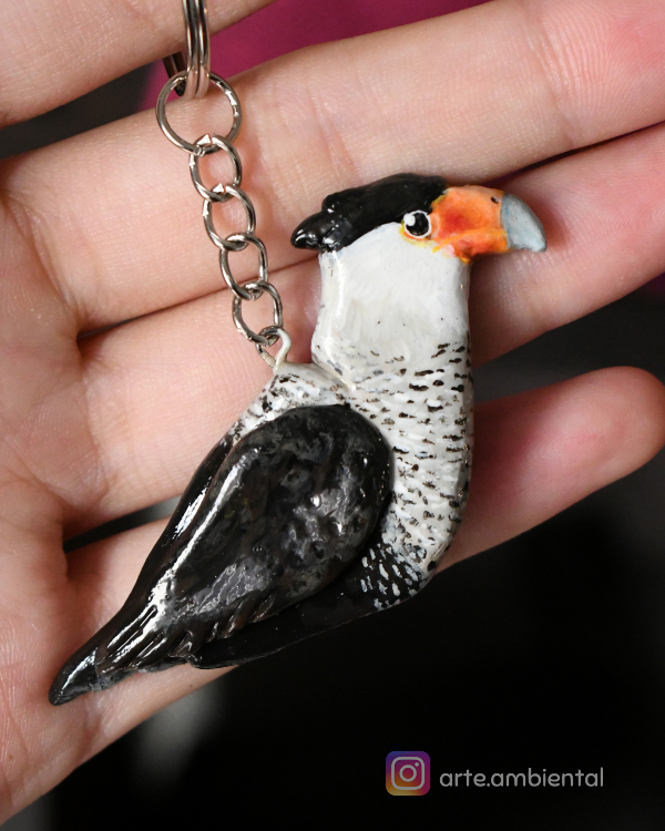 Producto - Llavero de Carancho