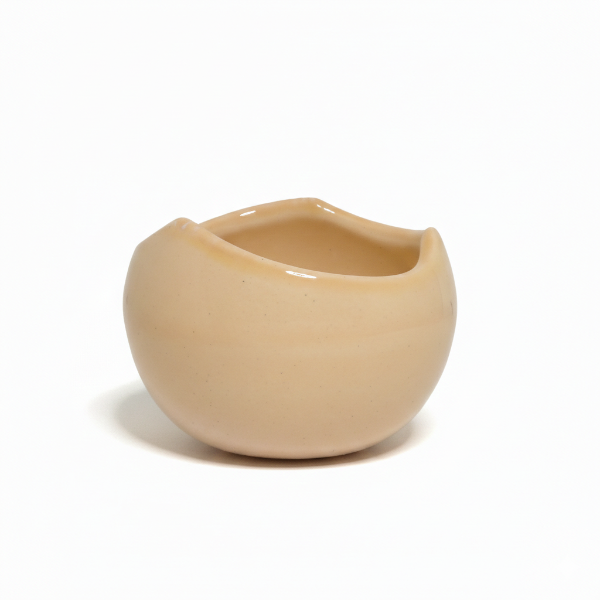 Producto - Germina rosa - Maceta pequeña