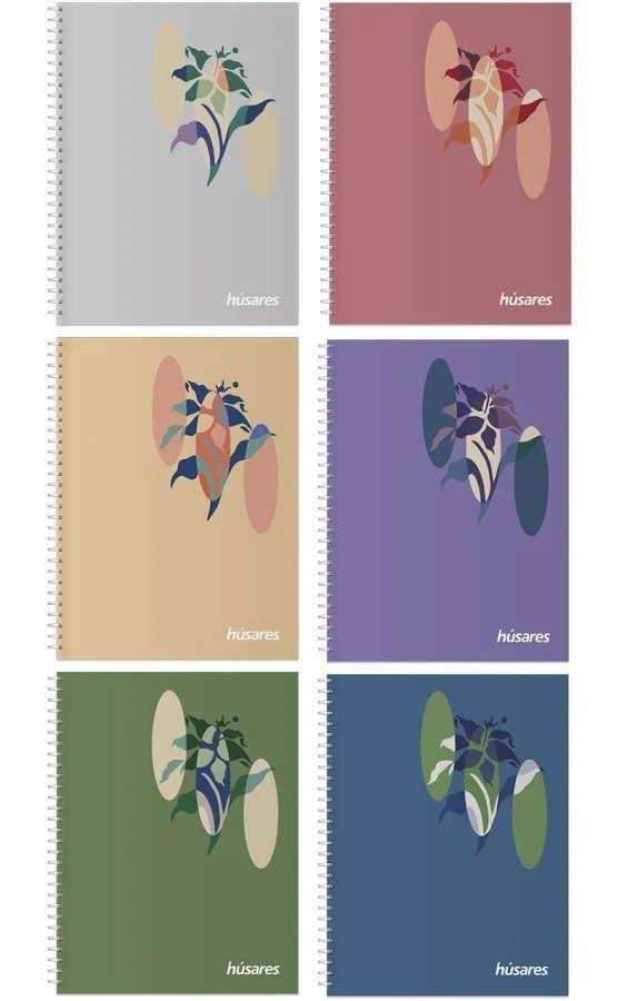 Producto - CUADERNO 29.7 HUSARES x 120H. FANTASIA DOUBLE RING t/carton  Rayado - 1