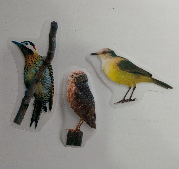 Producto - Apliques TermoadhesivosPajaros