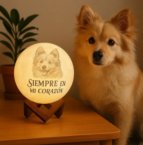 Producto - Velador Foto Lampara Mesa Esfera Mascotas Recuerdo Litofania