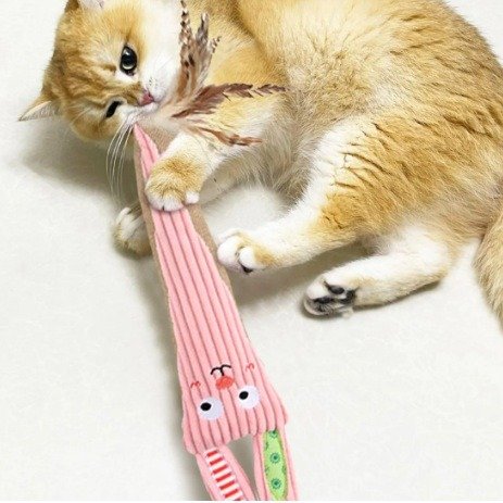 Producto - CONEJO CON CATNIP CATCH AND SCRATCH GIGWI