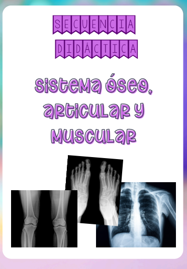 Producto - Secuencia didáctica "Sistema óseo, articular y muscular" 5to año