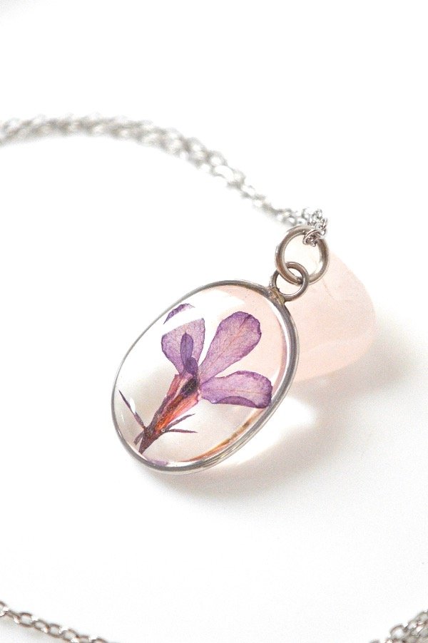 Producto - Lobelia Violeta