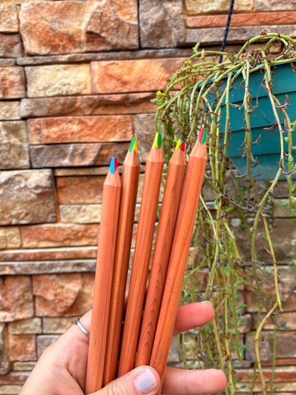 Producto - Lápices MADERA MULTICOLOR