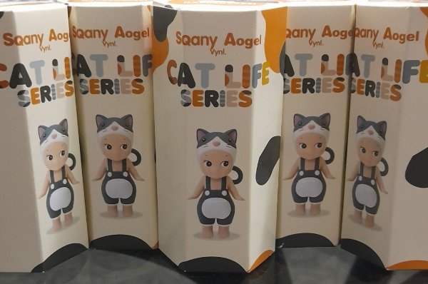 Producto - Sonny Cat Life