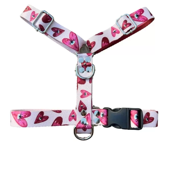 Producto - Pretal H + Correa XL / XXL