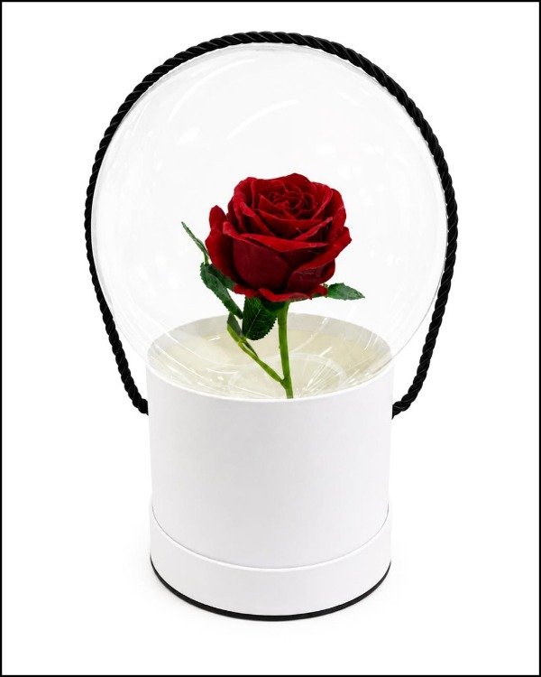 Producto - BOX CON ROSA ENCAPSULADA