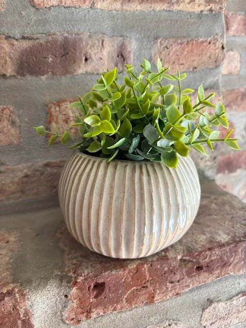 Producto - Maceta Natural rallada