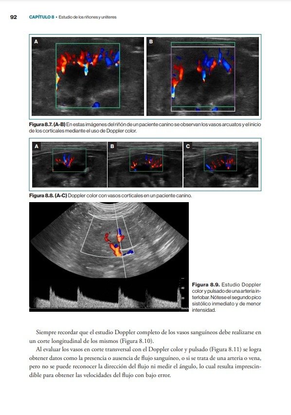 Producto - Núñez: Atlas Rápido de Ecografía Abdominal + Atlas Clínico de Ecografía Doppler - 6