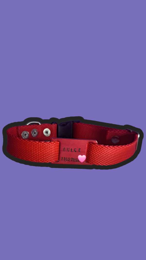 Producto - Conjuntos Id. Personalizados Chapita Clásica y a Color -C/Gancho- Med
