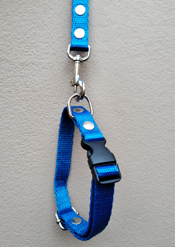 Producto - Collar con broche regulable