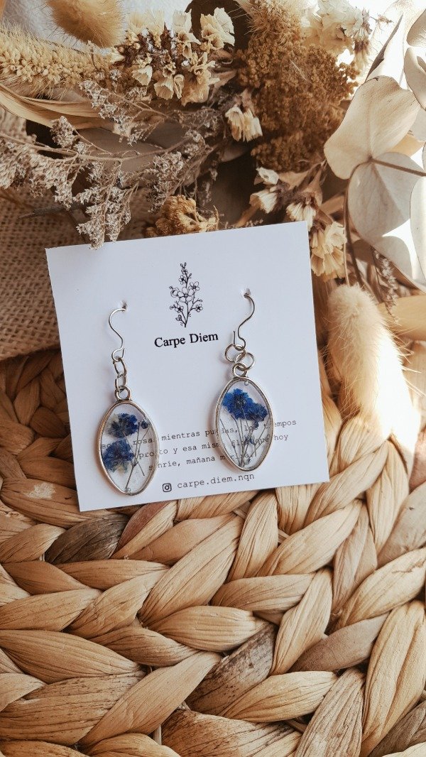 Producto - Aros Afrodita