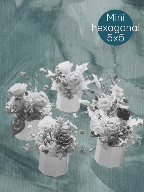 Producto - Maceta mini x 20 unidades 5x5