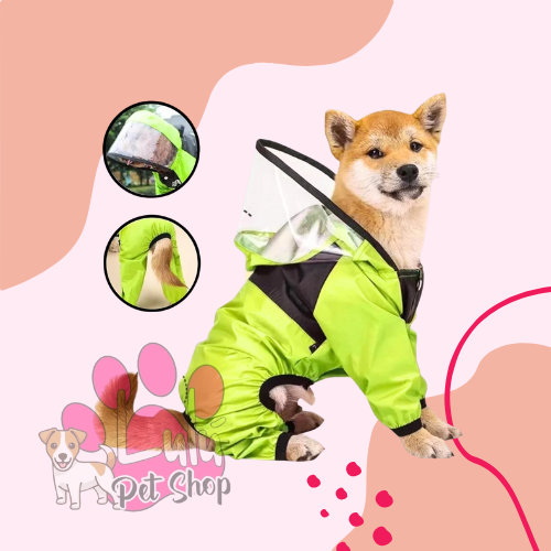 Producto - PILOTOS 4 PATAS