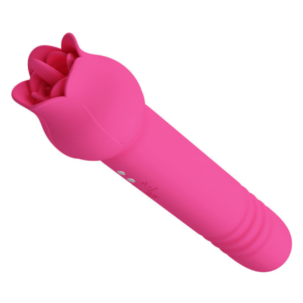 Producto - CHALEY ROSE - 1