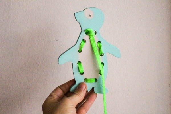 Producto - Pingüino de Magallanes AQUA