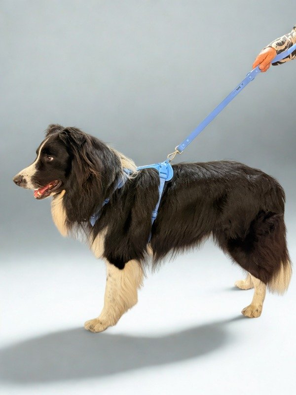 Miniatura de producto - 9